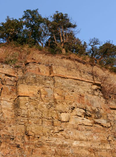 High rufous rock of sandstone and juniper trees growing...