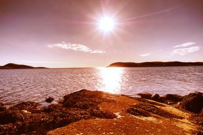 Rocky shores at the sea in sunset light. Natural park...