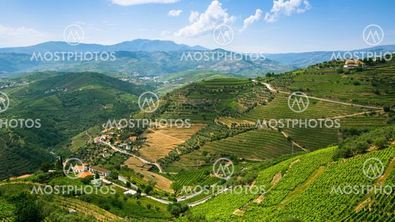 Top view of Douro Valley, the vineyards are on a hills, Portugal.