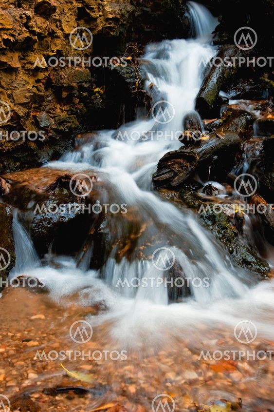 rivulet in autumn