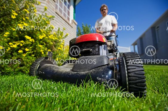 Mow the lawn