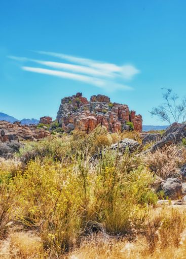 Blue sky, rocks and landscape with plants in wilderness...