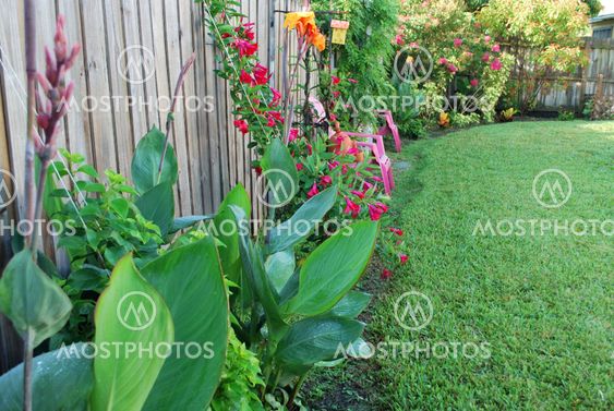 back yard garden
