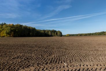 preparation of soil in the autumn season for spring sowing