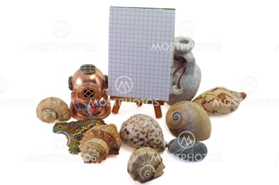 Frame made from shells