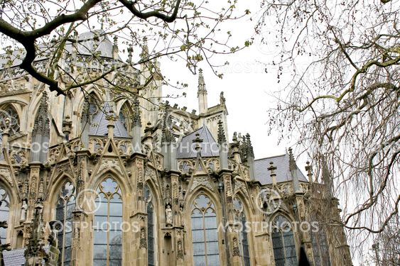 Cathedral in Den Bosch. Netherlands