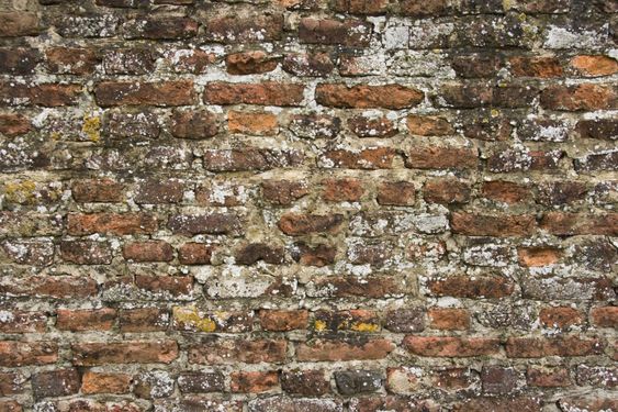 Part of 300 years old brick stone wall with lichens