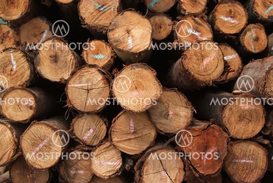 A pile of wood.