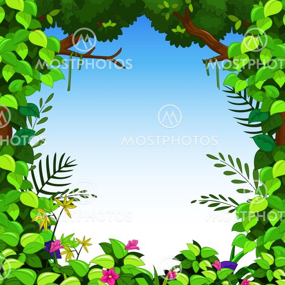 green forest for you design