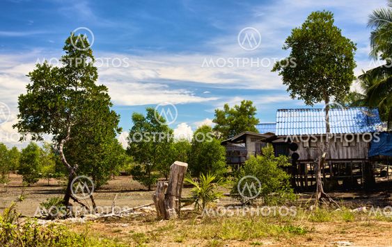 Thai Village