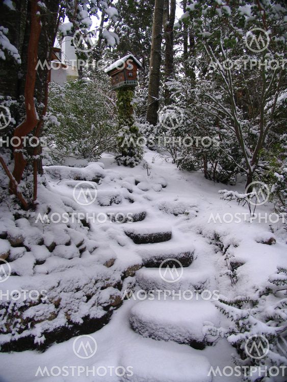 staircase in the snow