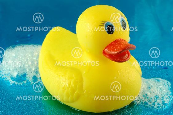 Rubber Duck in Bubbles