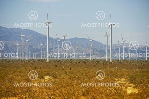 Wind Turbines in