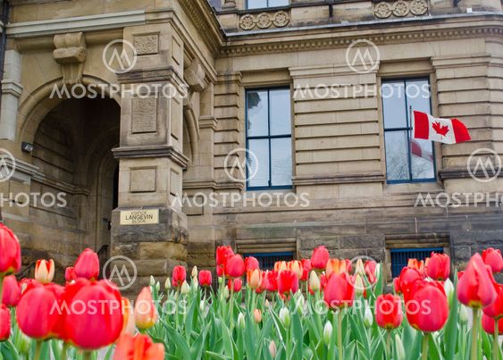 Langevin in Spring