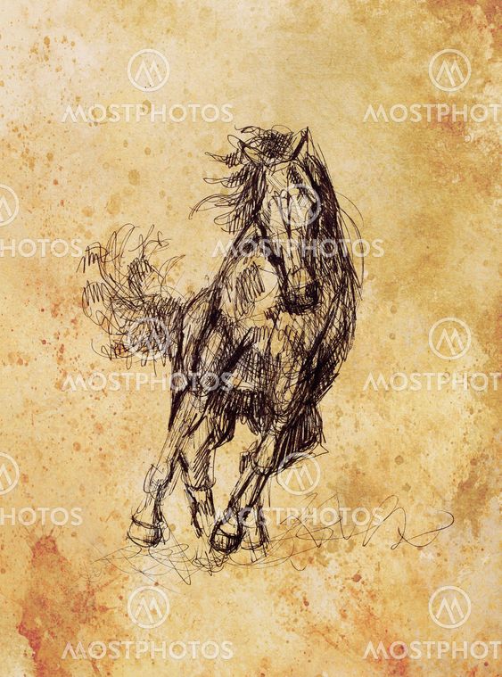 Draw pencil horse on old paper, And old vintage paper structure.