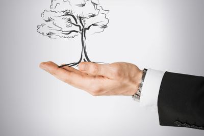 man with small tree in his hand