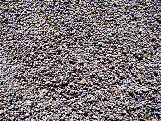 Poppy Seed Background