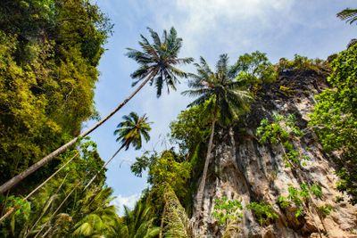 Beautiful forest and mountainin Thailand