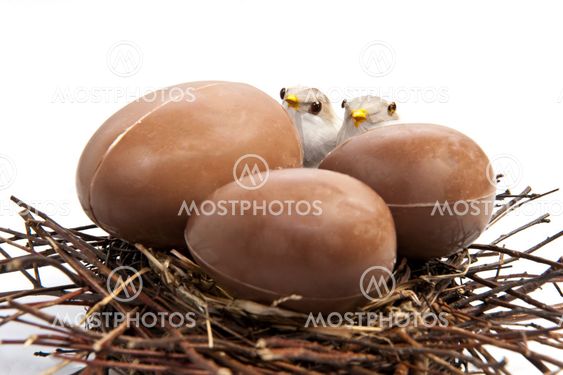 chocolate eggs