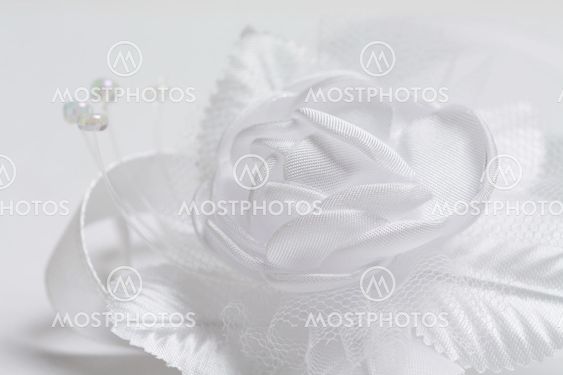 White satin rose
