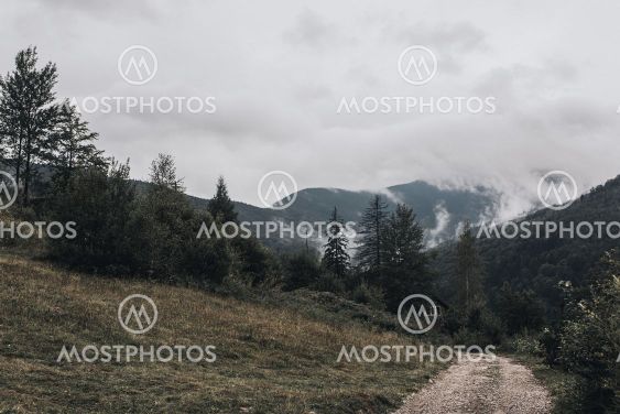 rocky high mountains. Forest fog laid on the tops of the...