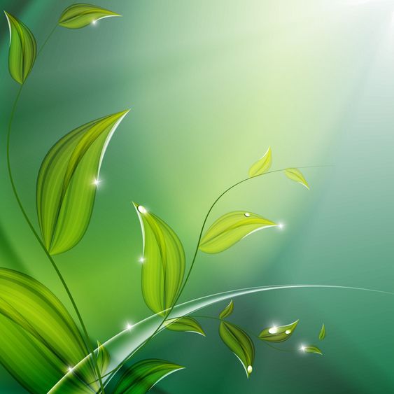 floral vector background. Eps10