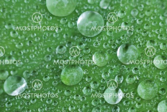 Drops