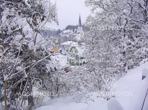 Village in winter