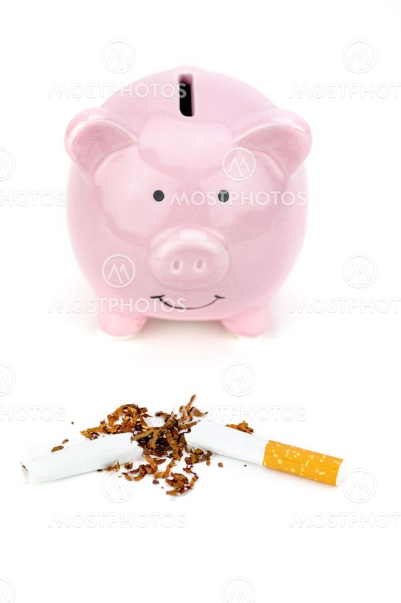 Cigarette cut in half and piggy bank. Stop smoking concept and save money