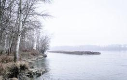 Anchored tankers during the winter period on the Danube...
