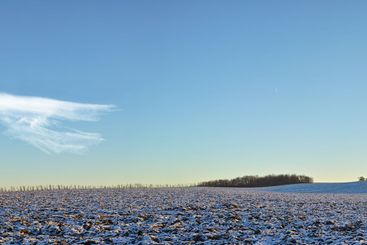 Winter, outdoor and countryside with nature, blue sky...