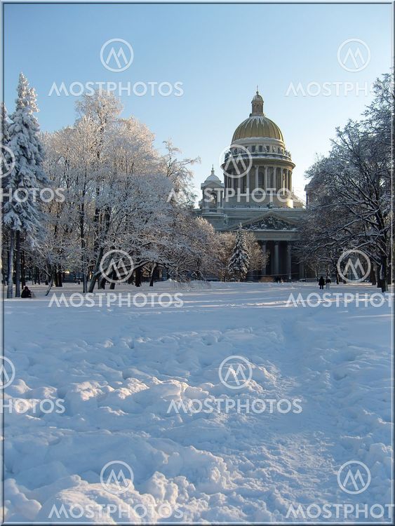 Starched Winter
