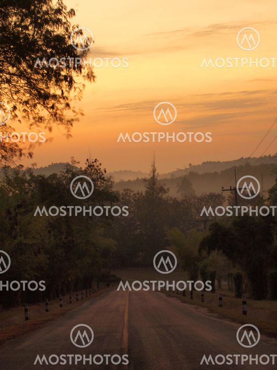 Morning light on the road