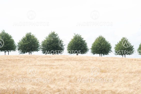 Skåne
