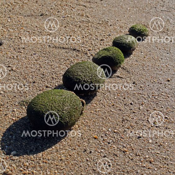 Aligned Stones