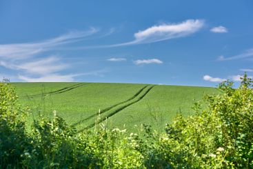 Farm, nature and blue sky with countryside landscape for...