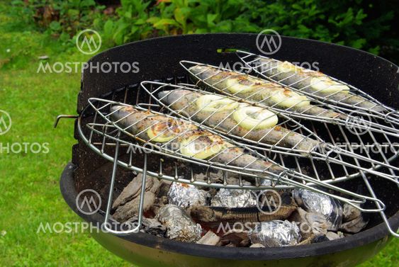 Grillen Forelle - grilling trout 04