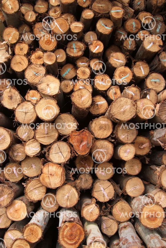 A pile of wood.