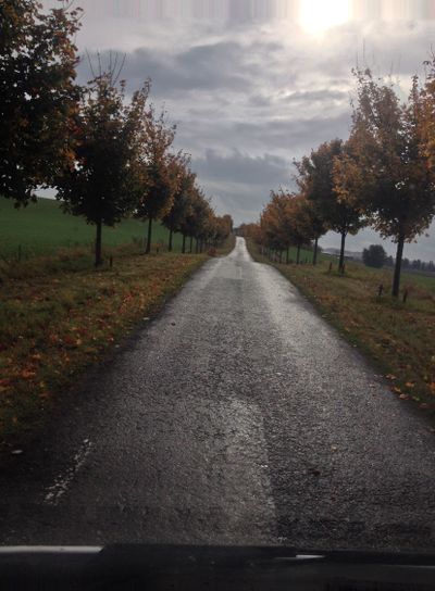 bild höst i skåne 2