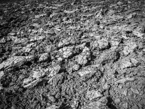 Clod Of Earth By Digitalpress Mostphotos