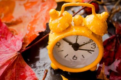 Fall Back Time - Daylight Savings End - Return To Winter...