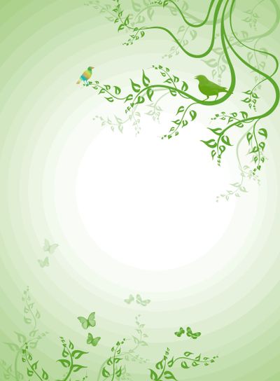 Beautiful spring floral with birds and butterfly 