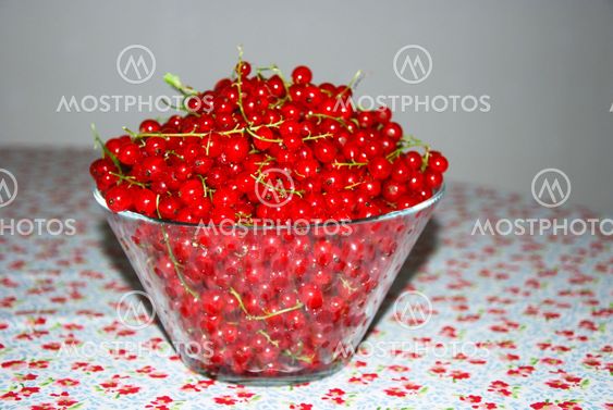 Redcurrants on a table