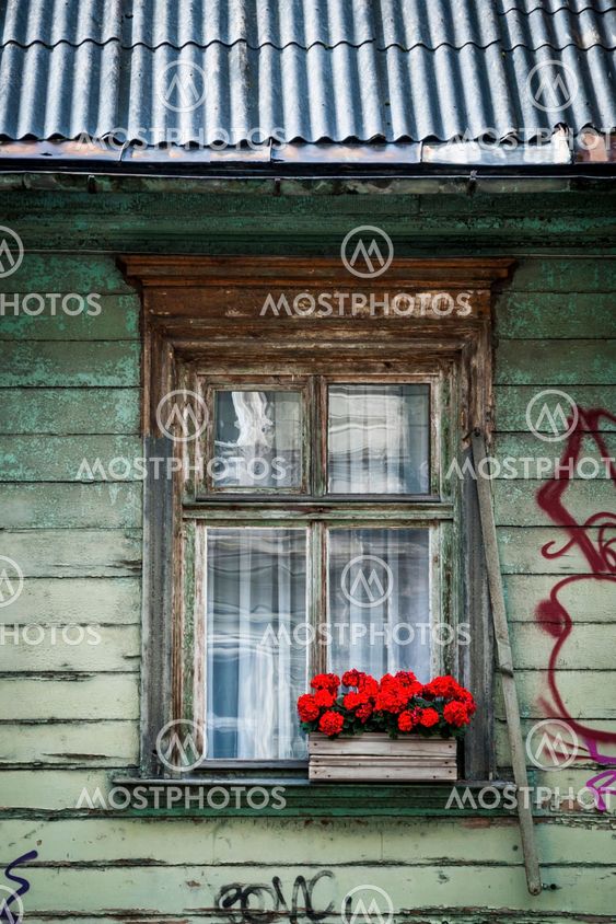Close-up of window decorated with red flowers