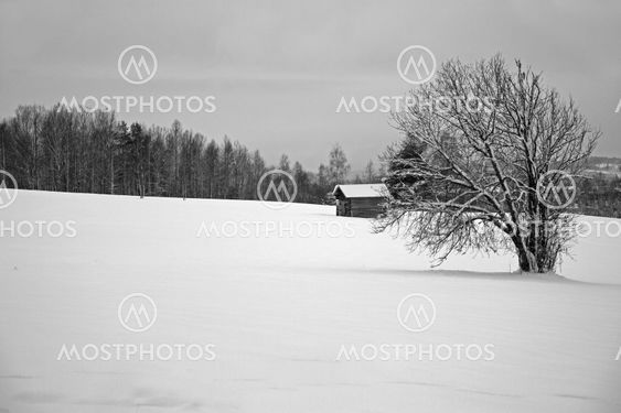 Winter in Dalarna