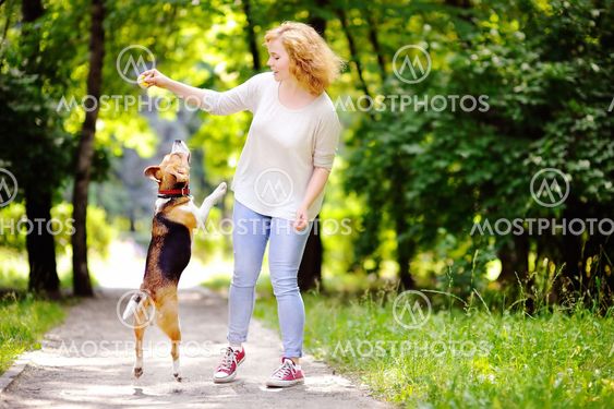 Young beautiful woman playing with Beagle dog