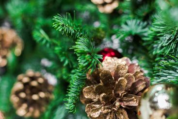 Holiday decorations featuring gold and red ornaments on...