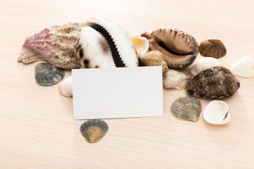 Display of seashells arranged around a blank card on a...