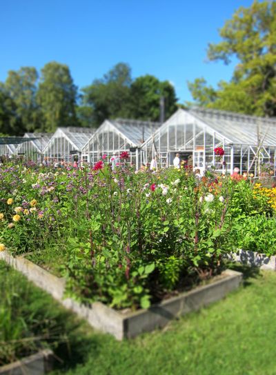 Rosendals trädgård