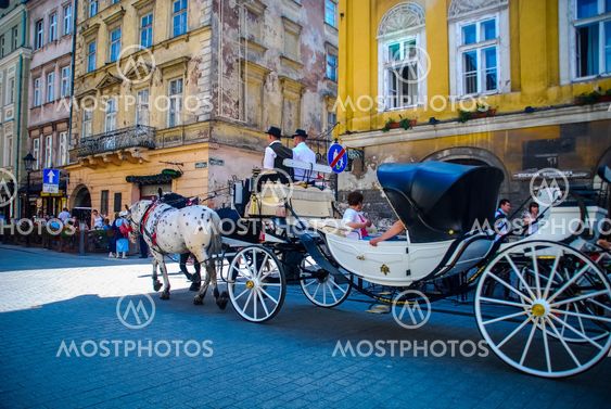 Krakow horse transport 13